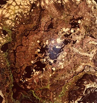 Bajadera