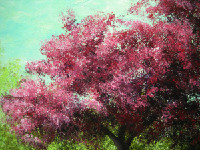 Blossom III