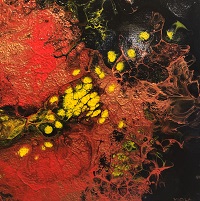 Bronse, Red and Yellow