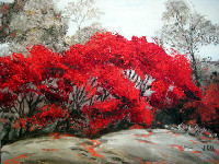Sumac V